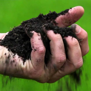 soil health care